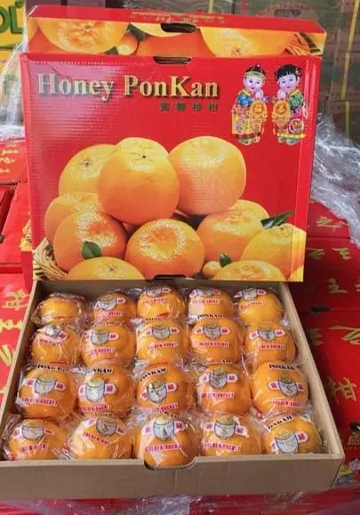 Ponkam couple L (Pkcp20)